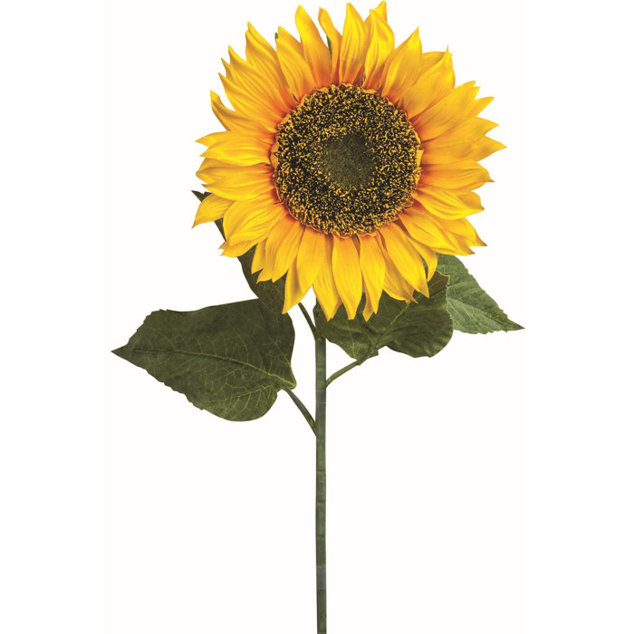 Primrue Single Sunflower Stem Wayfair